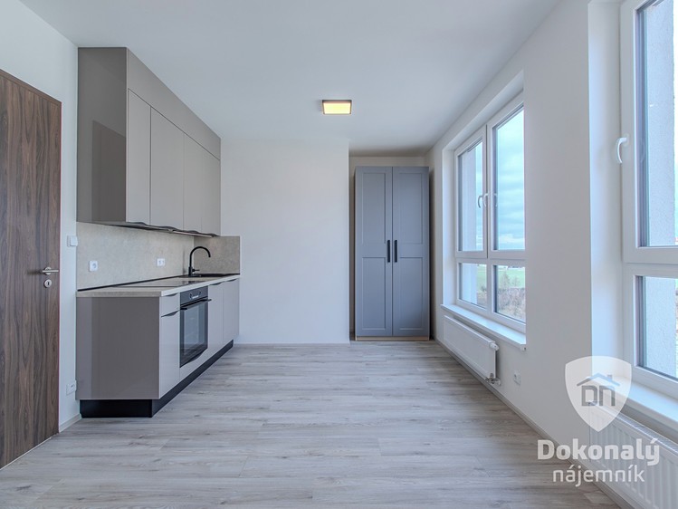 Pronájem bytu 1+kk 26 m² - foto 1
