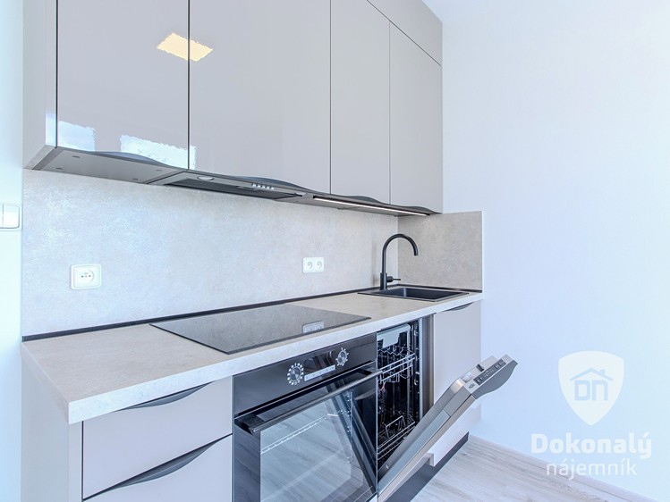 Pronájem bytu 1+kk 26 m² - foto 3