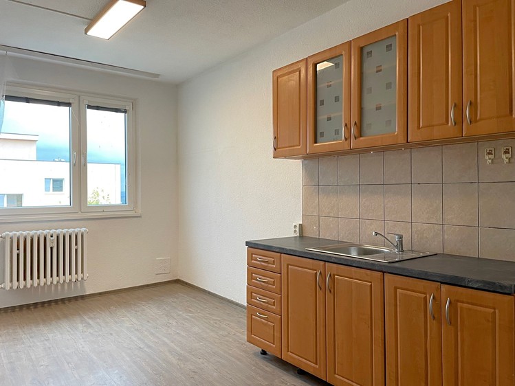 Pronájem bytu 3+1 75 m² - foto 1