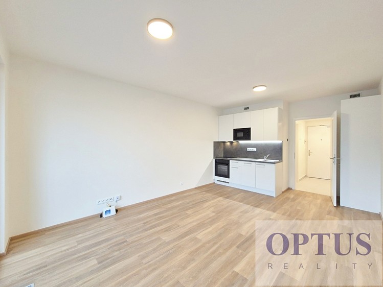Pronájem bytu 1+kk 32 m² (Jednopodlažní) - foto 3