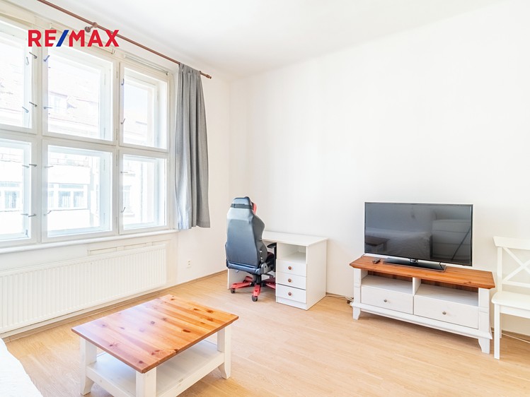 Pronájem bytu 1+1 55 m² - foto 4