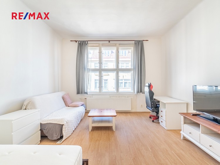 Pronájem bytu 1+1 55 m² - foto 1