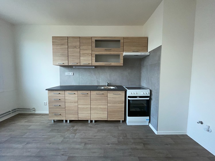 Pronájem bytu 1+1 41 m² (Jednopodlažní) - foto 2