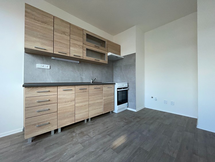 Pronájem bytu 1+1 41 m² (Jednopodlažní) - foto 1