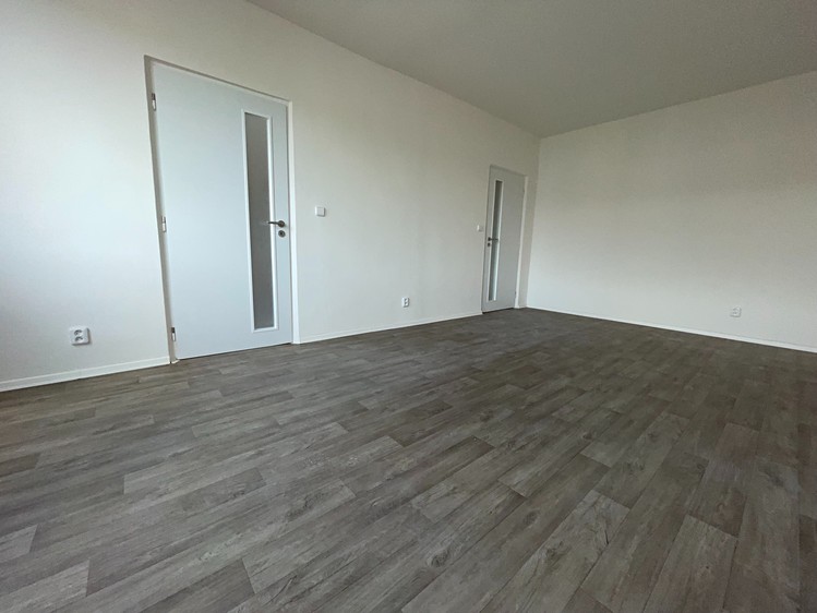 Pronájem bytu 1+1 41 m² (Jednopodlažní) - foto 3
