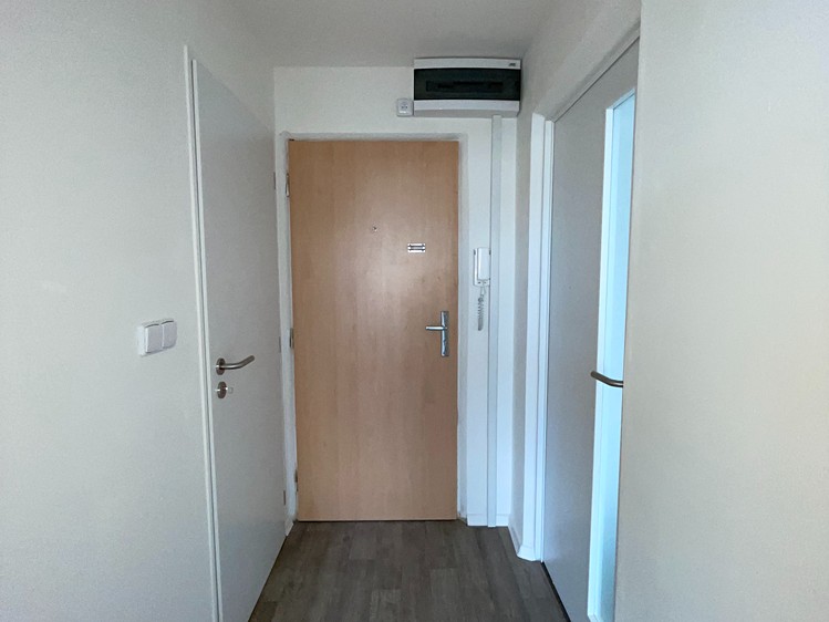 Pronájem bytu 1+1 41 m² (Jednopodlažní) - foto 6