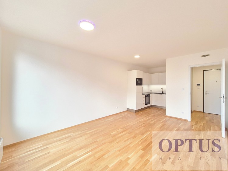 Pronájem bytu 2+kk 44 m² (Jednopodlažní) - foto 3