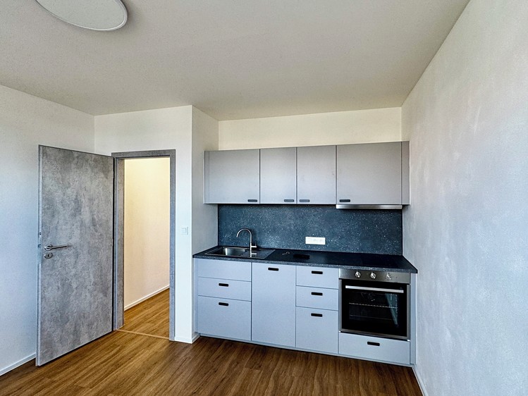 Pronájem bytu 1+1 38 m² (Jednopodlažní) - foto 2