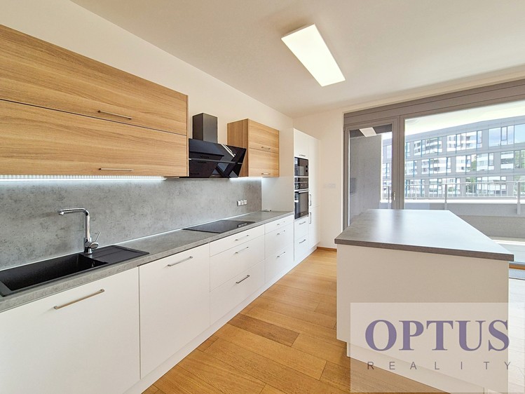 Pronájem bytu 4+kk 117 m² (Jednopodlažní) - foto 7