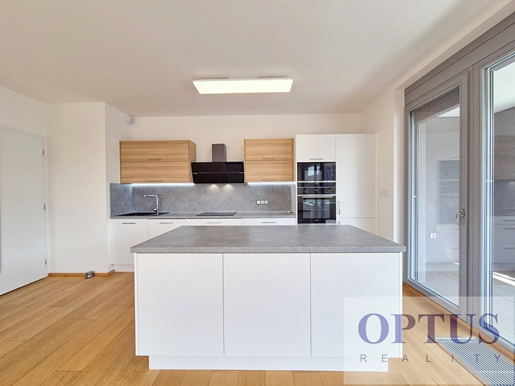 Pronájem bytu 4+kk 117 m² (Jednopodlažní) - foto 5