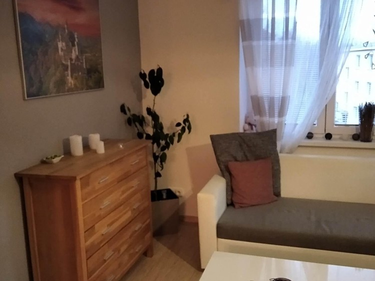 Pronájem bytu 2+1 57 m² (Jednopodlažní) - foto 3