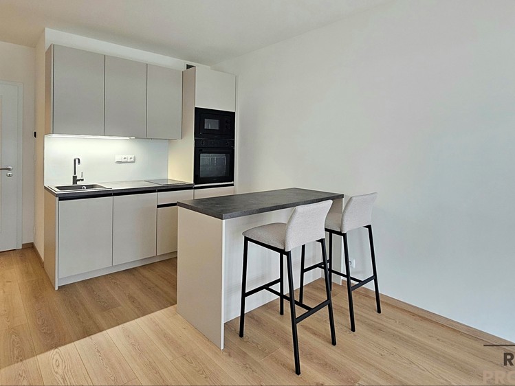 Pronájem bytu 1+kk 32 m² - foto 1