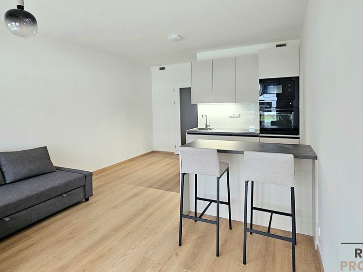 Pronájem bytu 1+kk 32 m² - foto 2