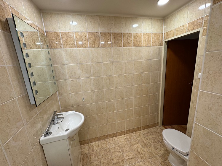 Pronájem bytu 2+1 61 m² - foto 6