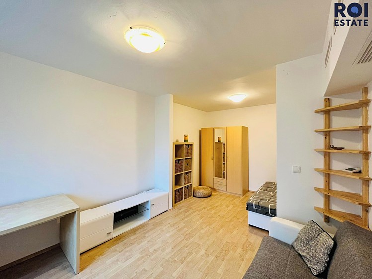 Pronájem bytu 1+1 40 m² - foto 7
