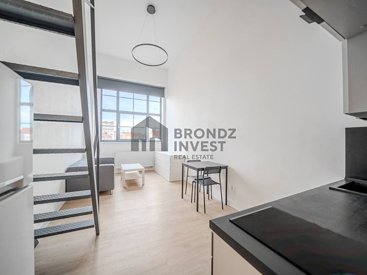 Pronájem bytu 1+kk 33 m² (Loft) - foto 3