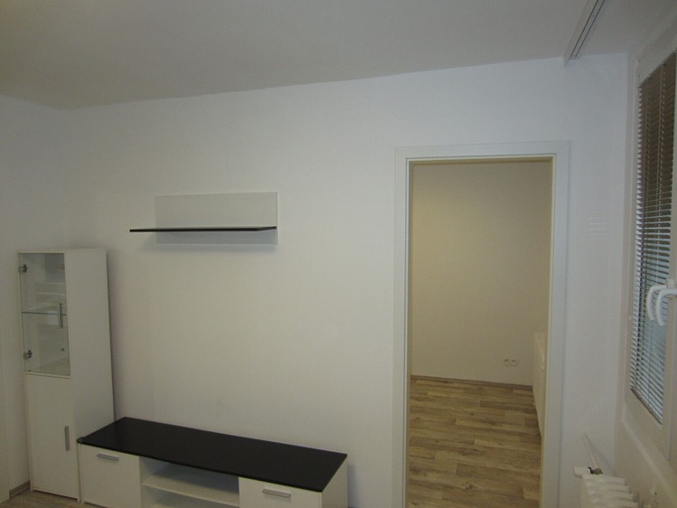 Pronájem bytu 2+1 54 m² - foto 6