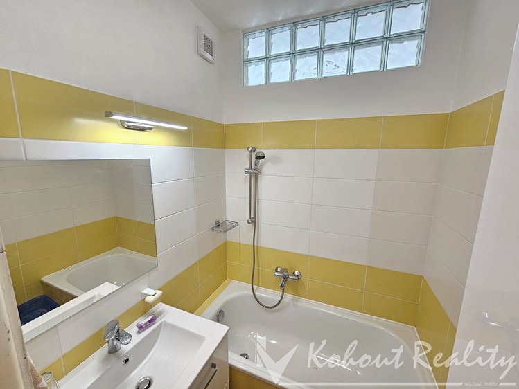 Pronájem bytu 2+1 53 m² - foto 4