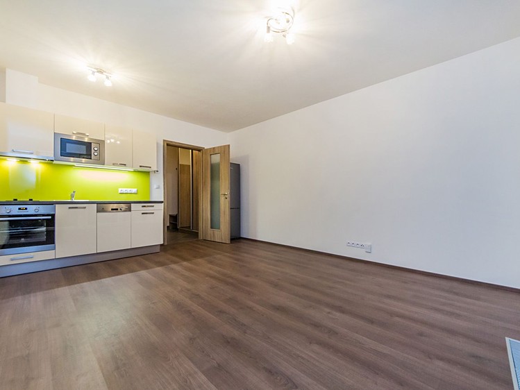 Pronájem bytu 1+kk 36 m² (Jednopodlažní) - foto 4
