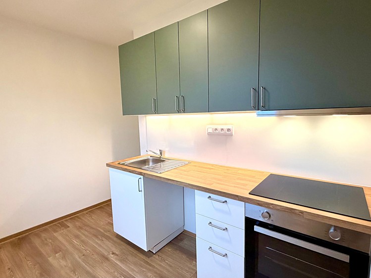 Pronájem bytu 2+1 54 m² - foto 8