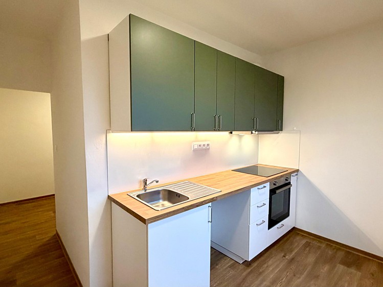 Pronájem bytu 2+1 54 m² - foto 7