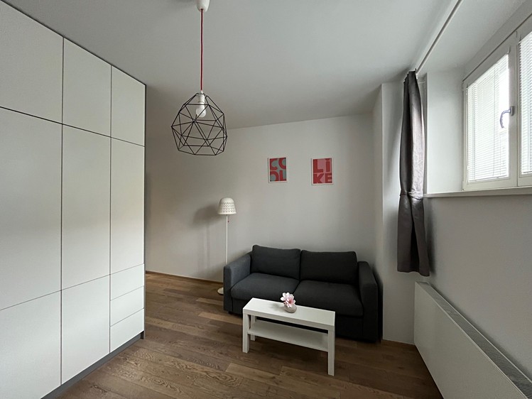 Pronájem bytu 1+1 38 m² - foto 3