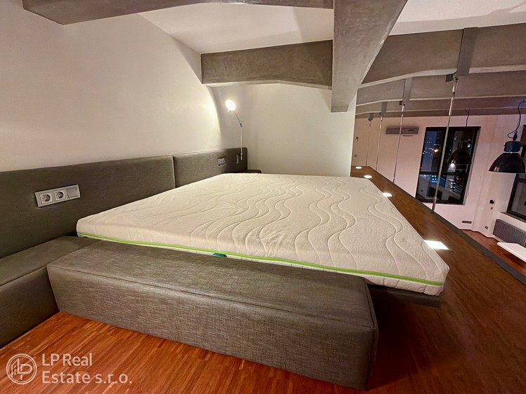 Pronájem bytu 1+kk 114 m² (Loft) - foto 8
