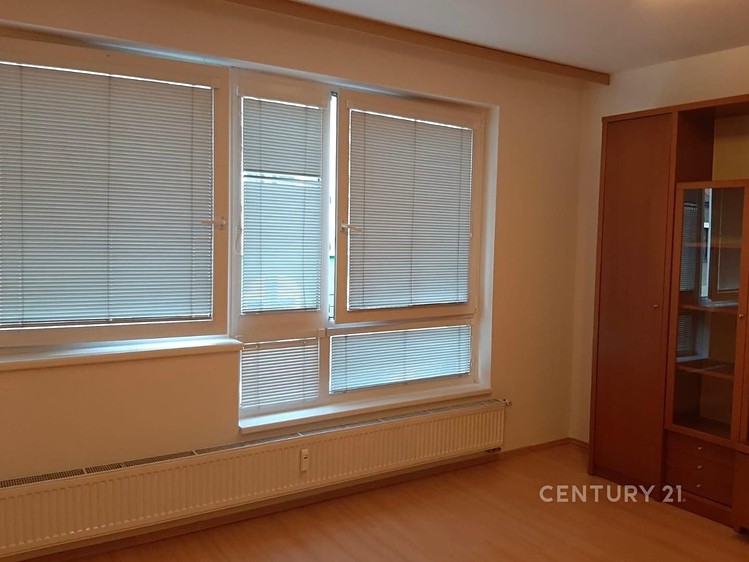 Pronájem bytu 1+kk 29 m² - foto 3