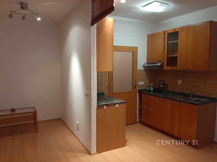 Pronájem bytu 1+kk 29 m² - foto 1