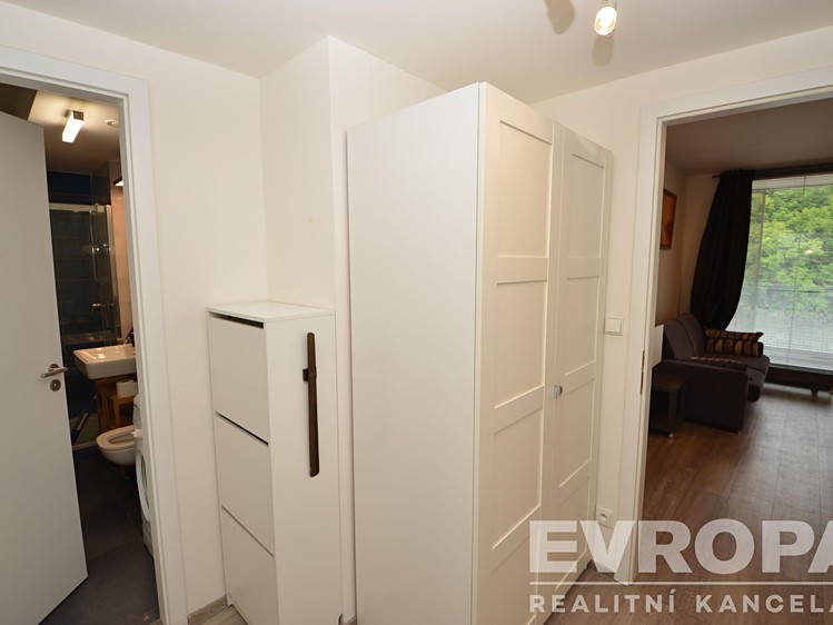 Pronájem bytu 1+kk 33 m² - foto 7