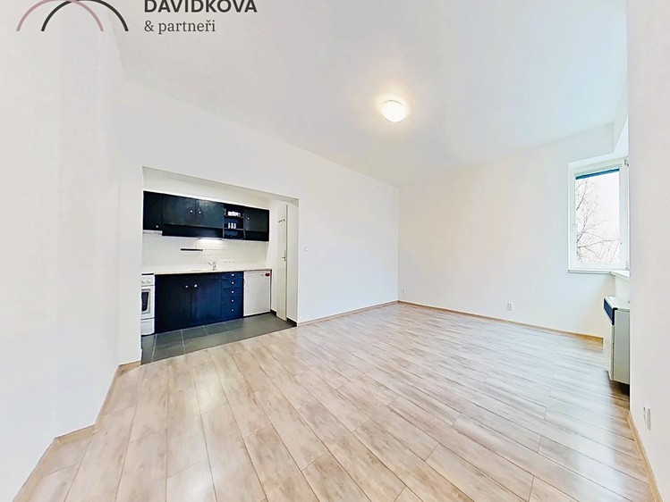 Pronájem bytu 1+kk 40 m² (Jednopodlažní) - foto 2