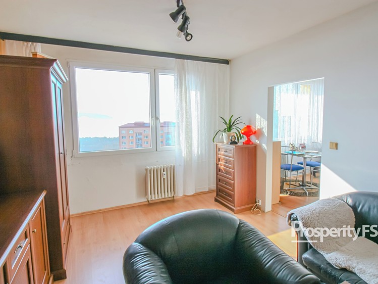 Pronájem bytu 1+1 33 m² - foto 6