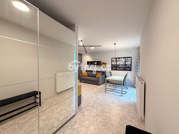 Pronájem bytu 1+kk 41 m² (Jednopodlažní) - foto 3