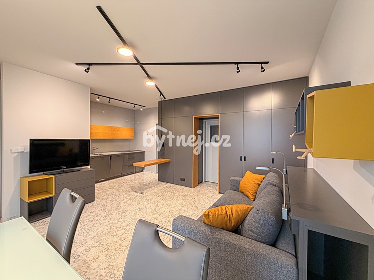 Pronájem bytu 1+kk 41 m² (Jednopodlažní) - foto 4