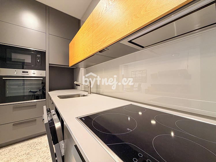Pronájem bytu 1+kk 41 m² (Jednopodlažní) - foto 2