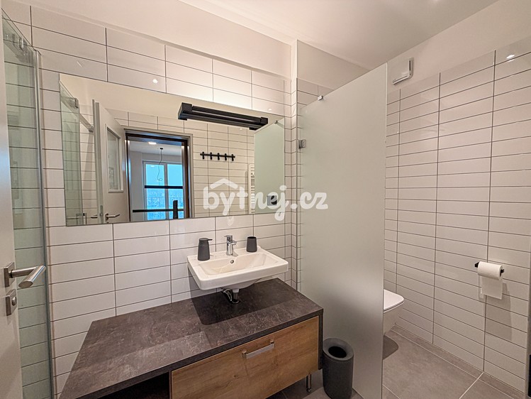 Pronájem bytu 1+kk 41 m² (Jednopodlažní) - foto 8