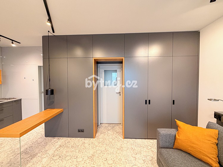 Pronájem bytu 1+kk 41 m² (Jednopodlažní) - foto 7