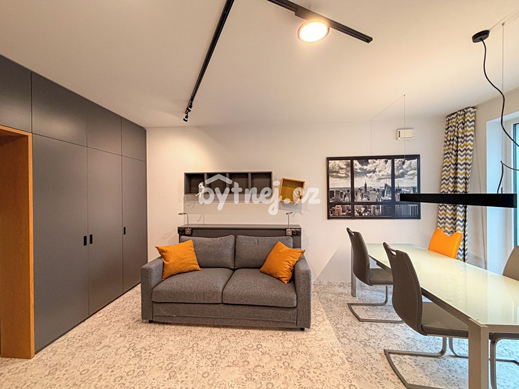 Pronájem bytu 1+kk 41 m² (Jednopodlažní) - foto 6