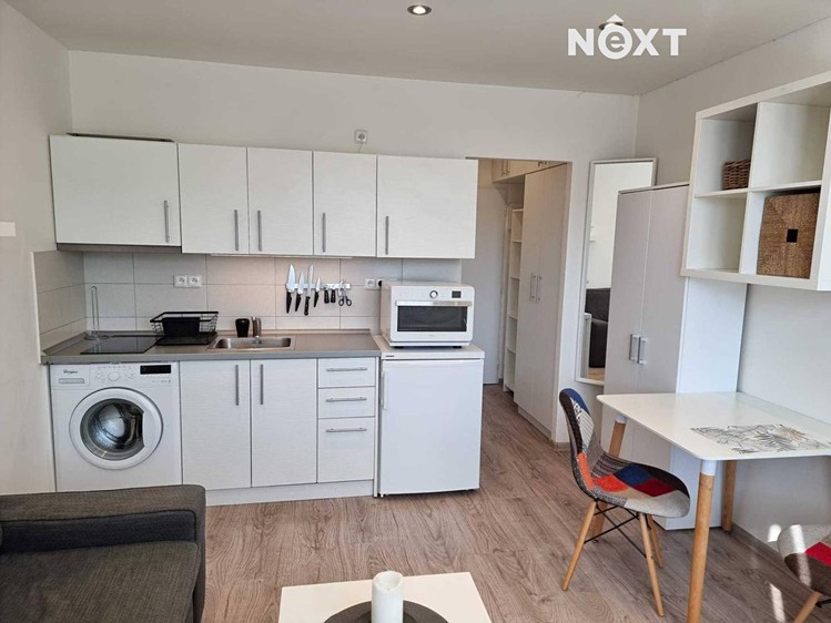 Pronájem bytu 1+kk 20 m² (Jednopodlažní) - foto 4