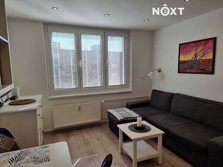 Pronájem bytu 1+kk 20 m² (Jednopodlažní) - foto 3