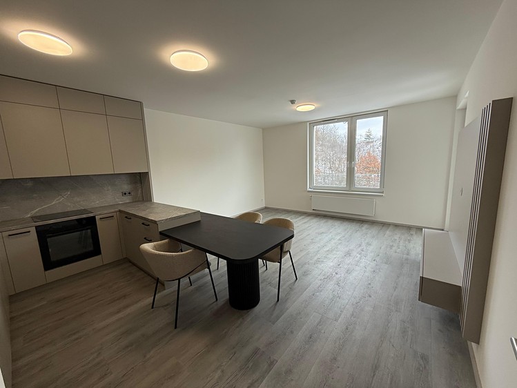Pronájem bytu 2+kk 56 m² (Jednopodlažní) - foto 3