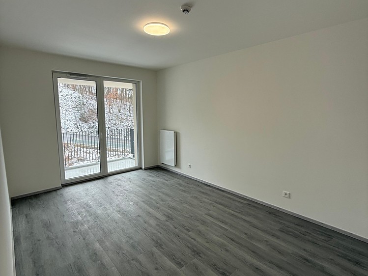 Pronájem bytu 2+kk 56 m² (Jednopodlažní) - foto 6