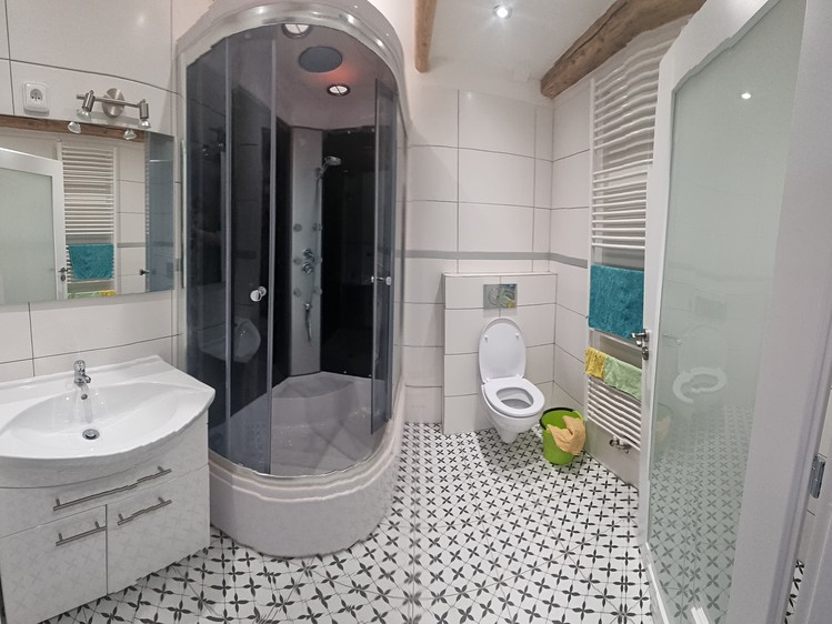 Pronájem bytu 1+kk 30 m² (Jednopodlažní) - foto 4