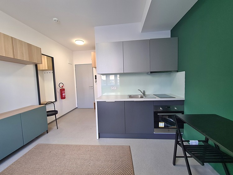 Pronájem bytu 1+kk 20 m² (Jednopodlažní) - foto 4