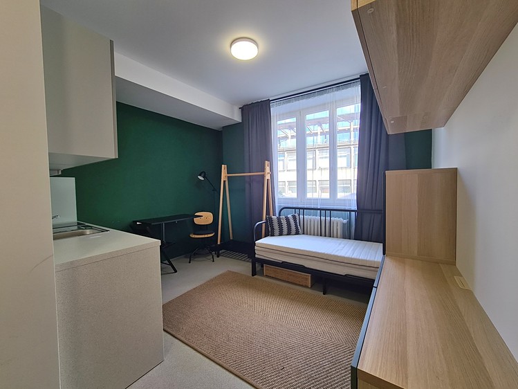 Pronájem bytu 1+kk 20 m² (Jednopodlažní) - foto 5