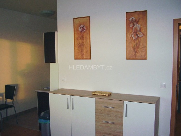 Pronájem bytu 1+kk 38 m² - foto 4