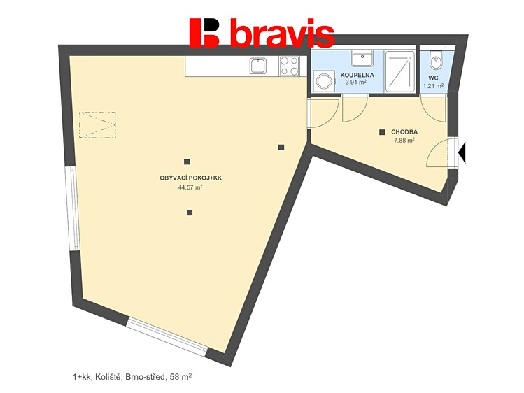 Pronájem bytu 1+kk 61 m² (Podkrovní) - foto 5