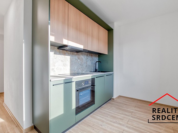 Pronájem bytu 1+1 35 m² - foto 1