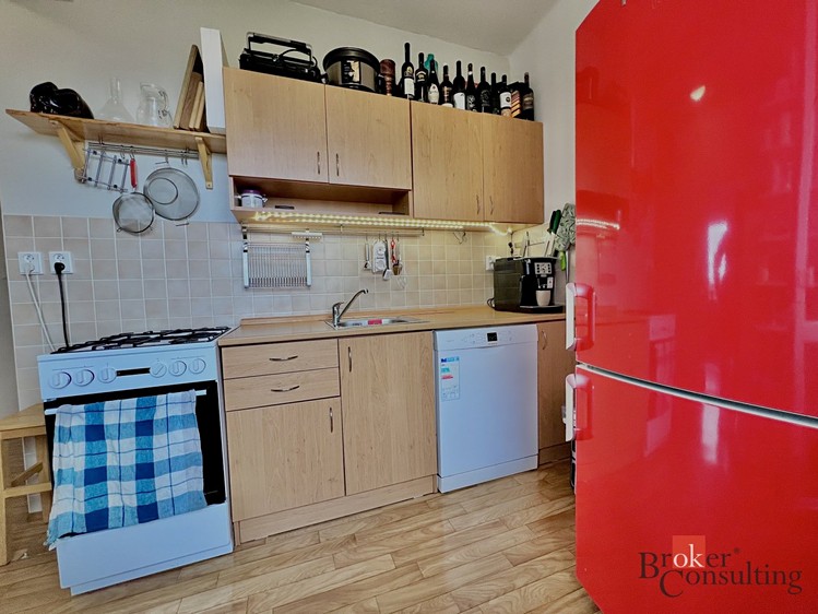 Pronájem bytu 2+1 51 m² - foto 3