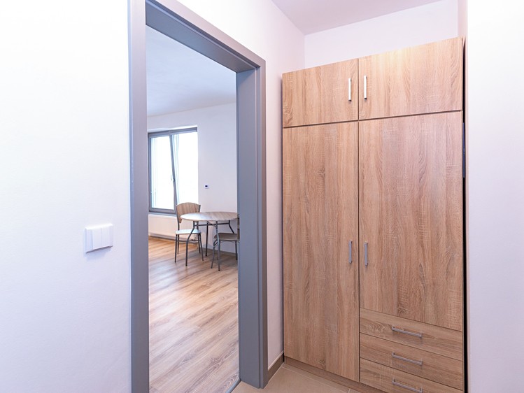 Pronájem bytu 1+kk 30 m² - foto 5